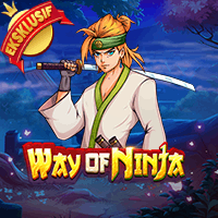 WAY OF NINJA